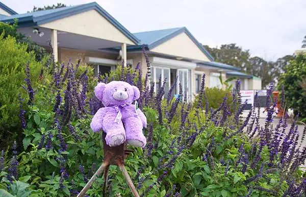 Aloomba Lavender – Liston NSW (photo 4)