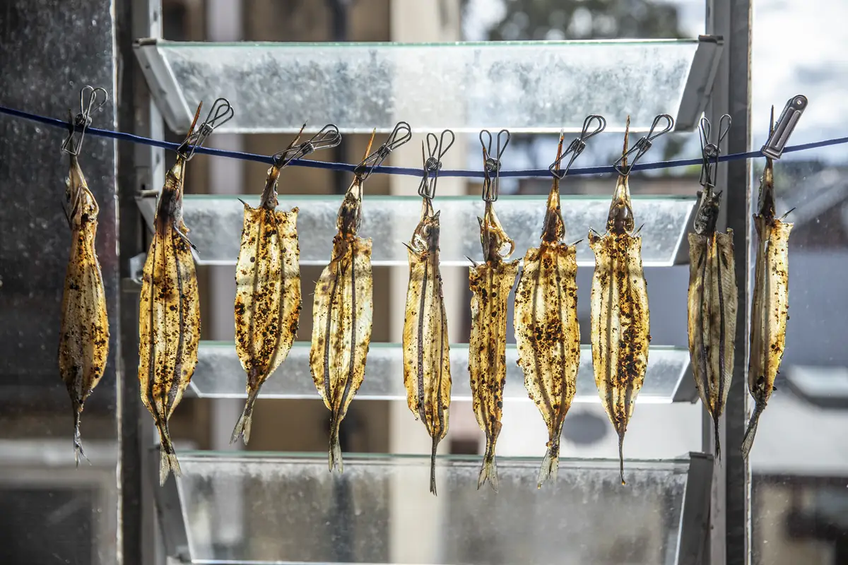 Anchovy – 338 Bridge Road, Richmond, VIC