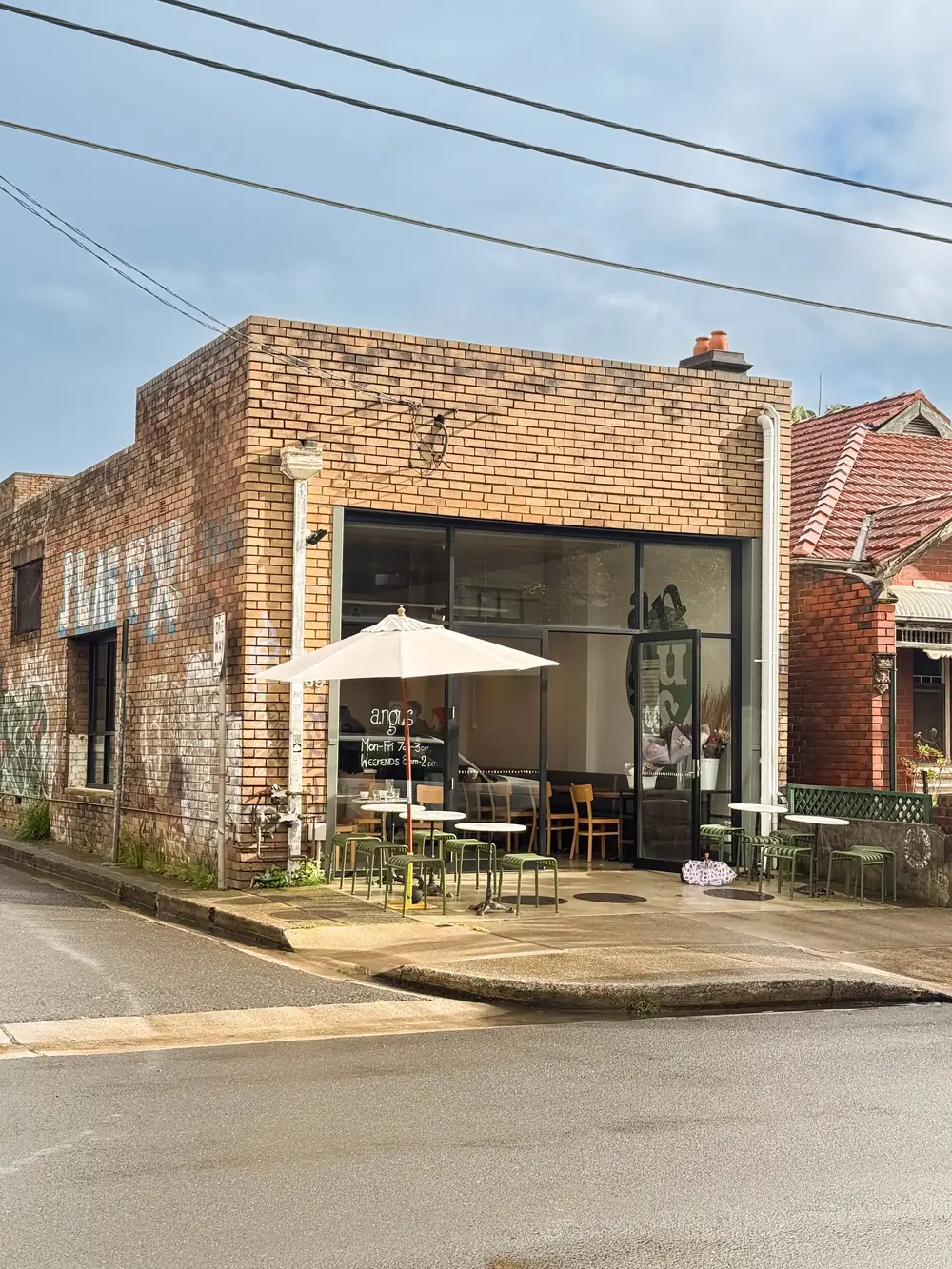 Angus – Marrickville NSW (photo 2)