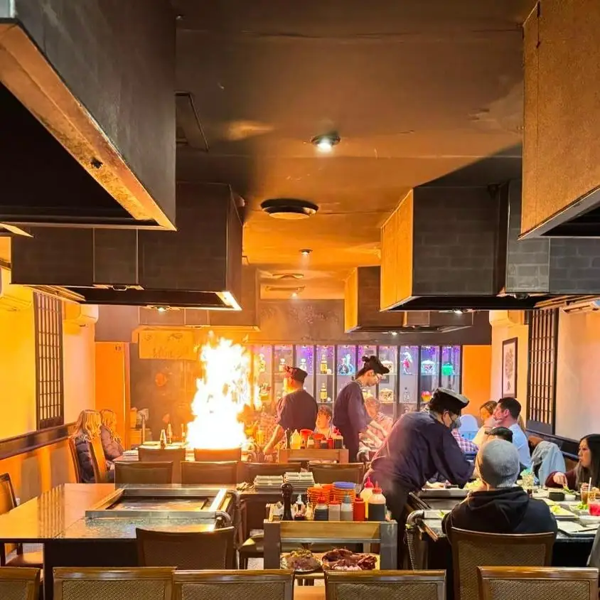 Asahi Teppanyaki – Beverly Hills NSW (photo 3)