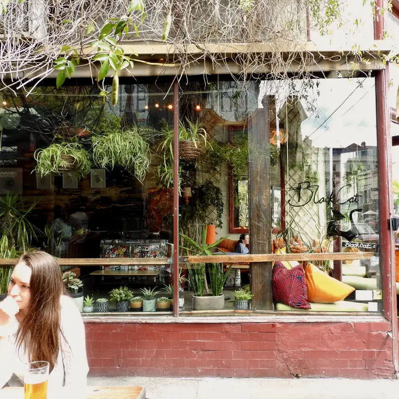 Black Cat – Fitzroy VIC (photo 3)