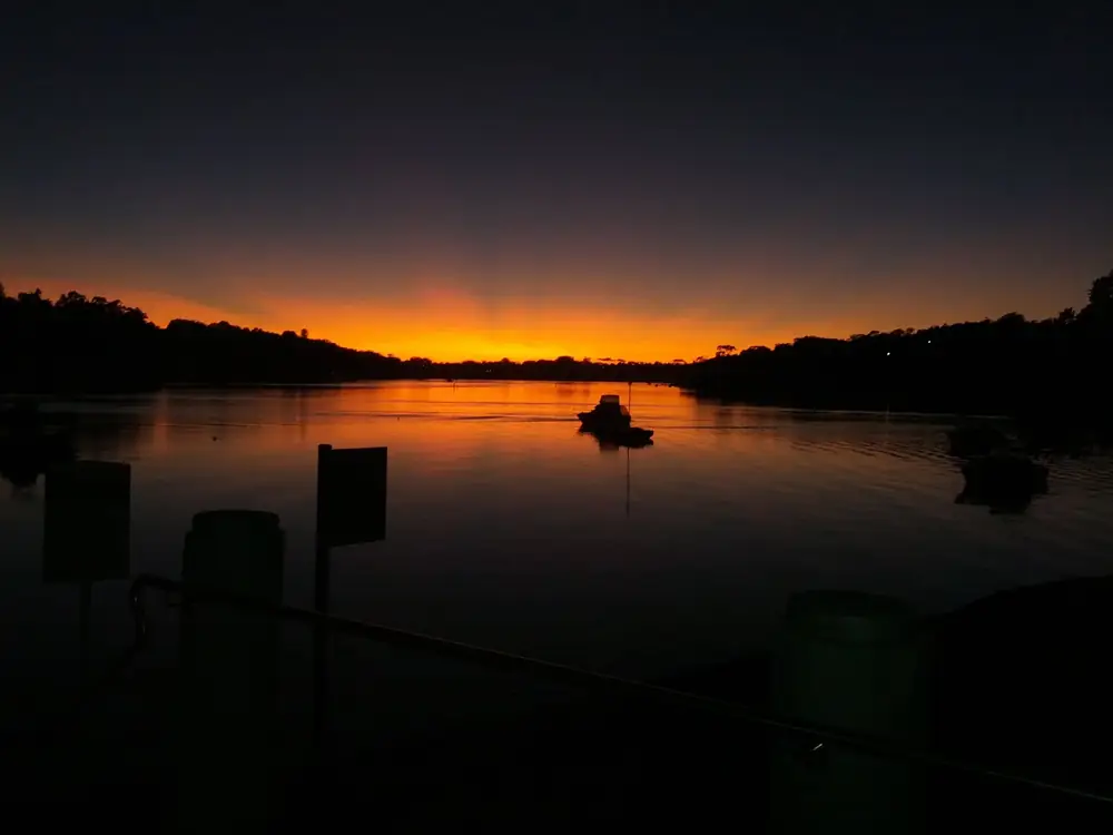 Blackfish – Como NSW (photo 2)