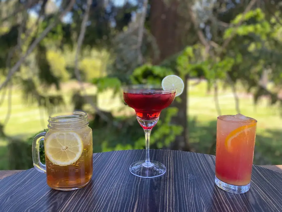 Bunya Mountains Tavern – Bunya Mountains QLD (photo 3)