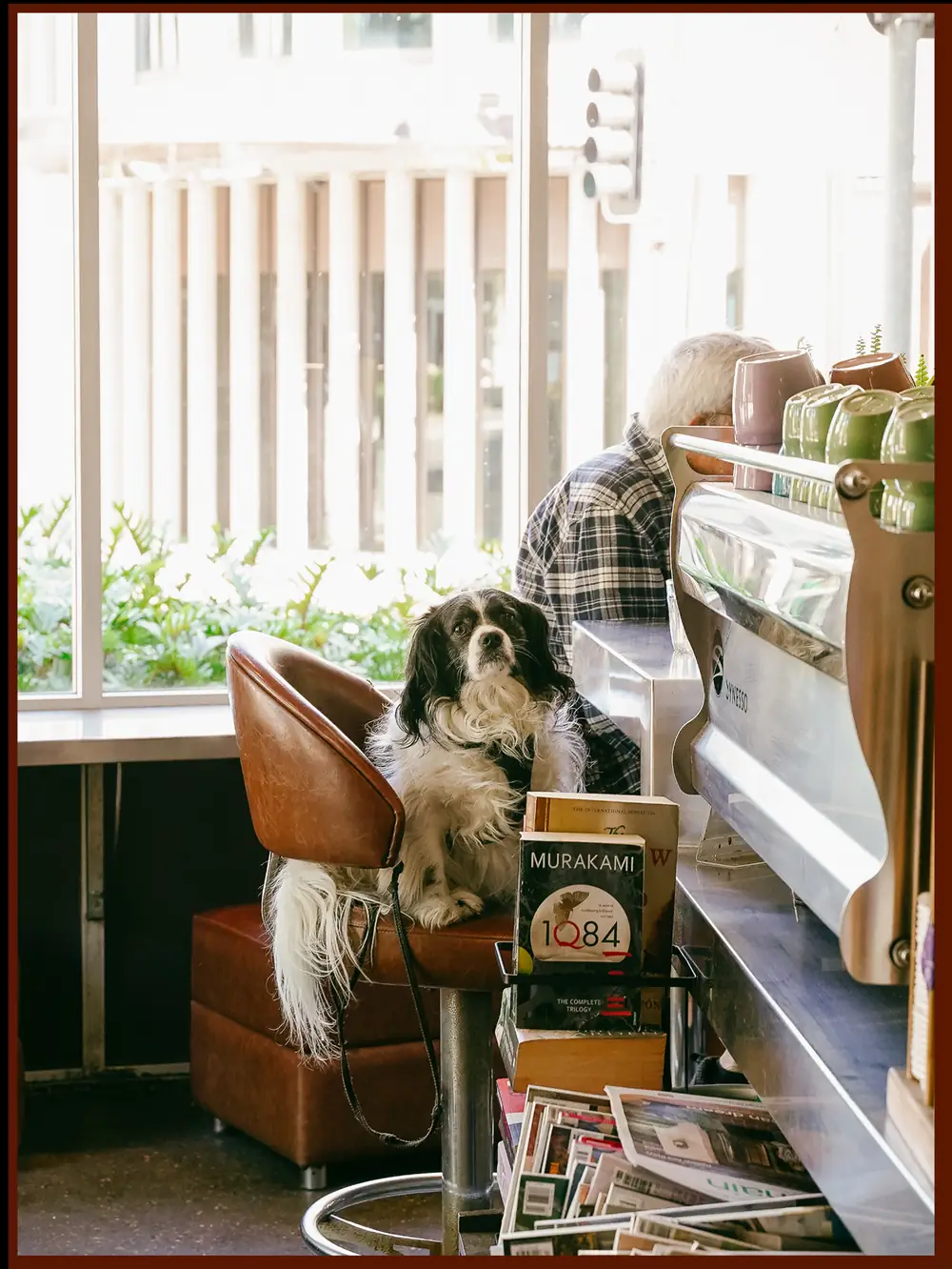 Cafe Giulia – Chippendale NSW (photo 2)