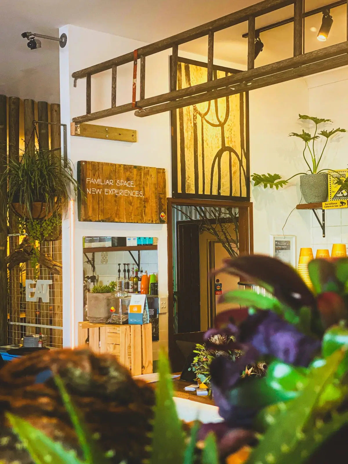 Cafe Lurline – Echo Point