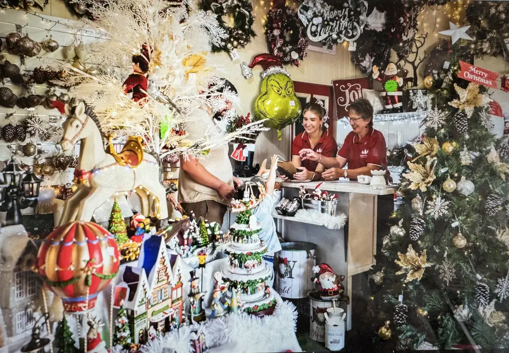 Chrissy Trees 4 U – Benair QLD (photo 3)