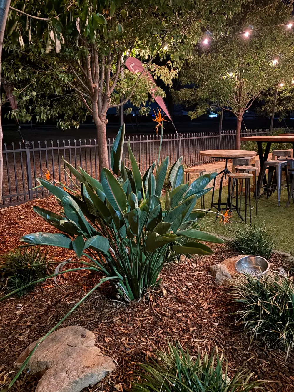 Devil's Hollow Brewery – Dubbo NSW (photo 2)