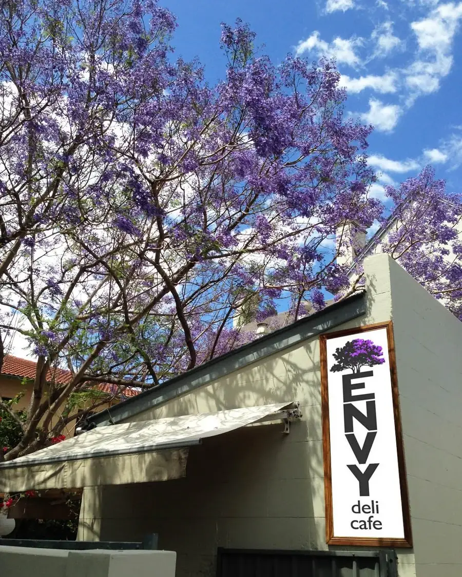 Envy Deli Cafe – Summer Hill NSW (photo 2)