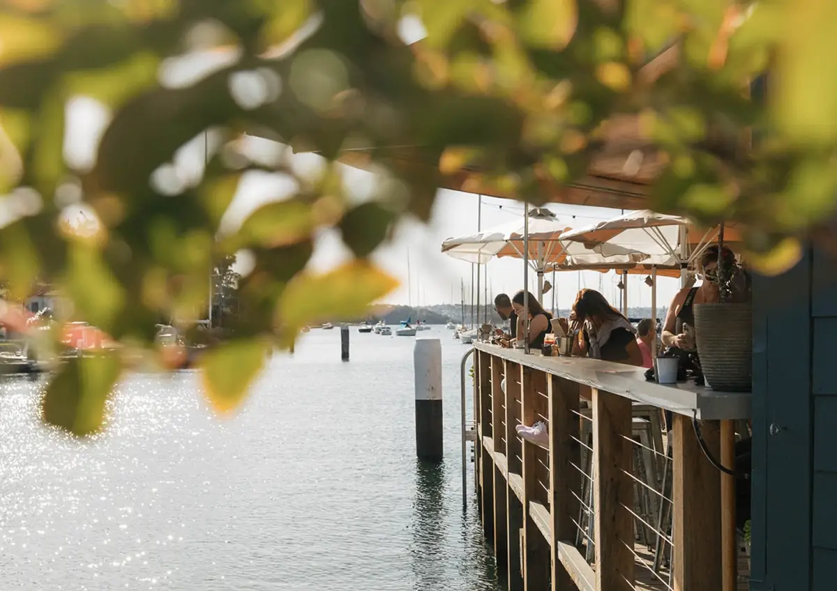 Flying Bear – Kirribilli, NSW