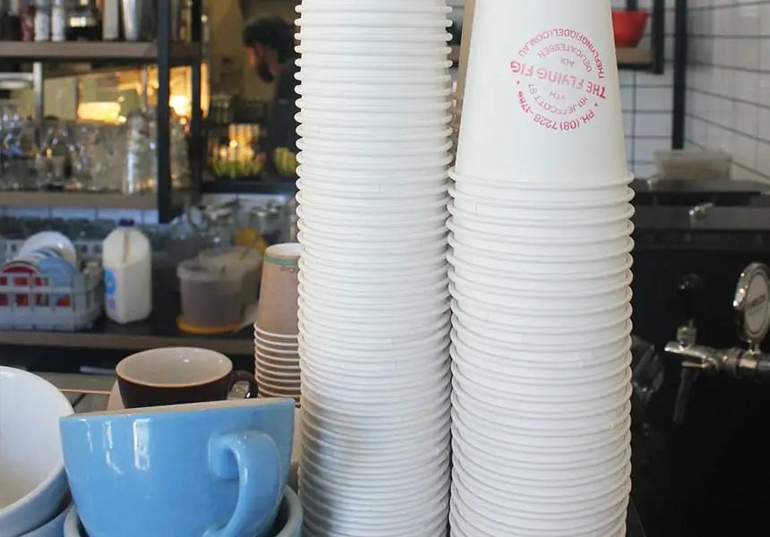The Flying Fig – North Adelaide SA (photo 3)