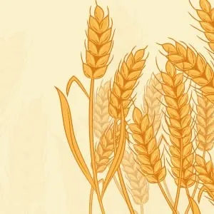 Harvest Spring Ridge logo