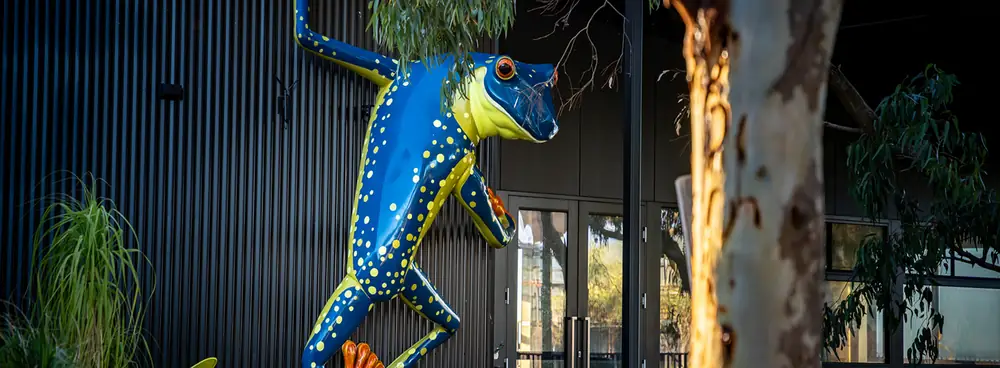 Hidden Frog – Mannerim VIC (photo 2)