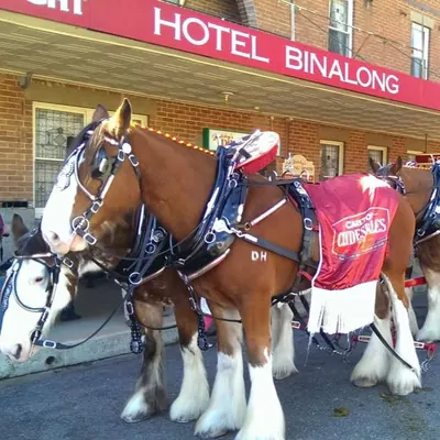 Hotel Binalong logo