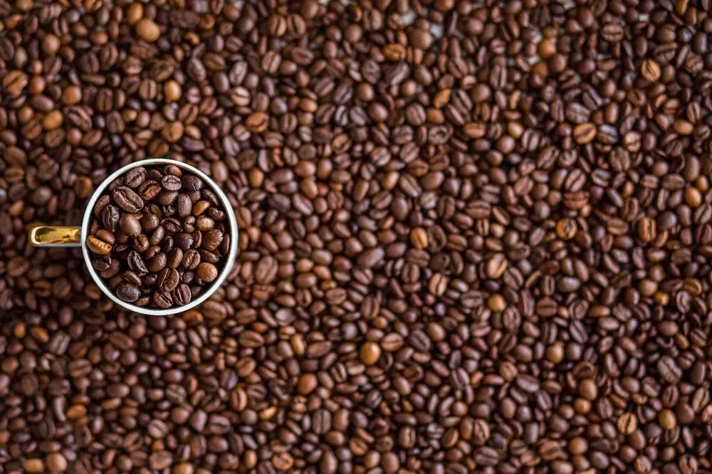 Kaffee Plot – Barringo VIC (photo 2)