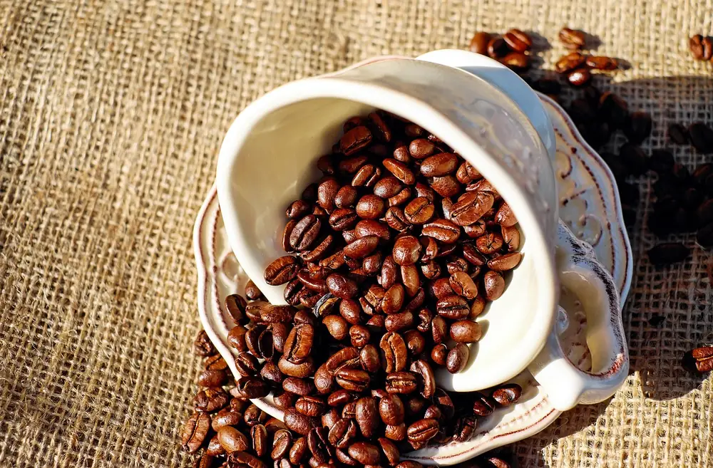 Kaffee Plot – Barringo VIC (photo 5)