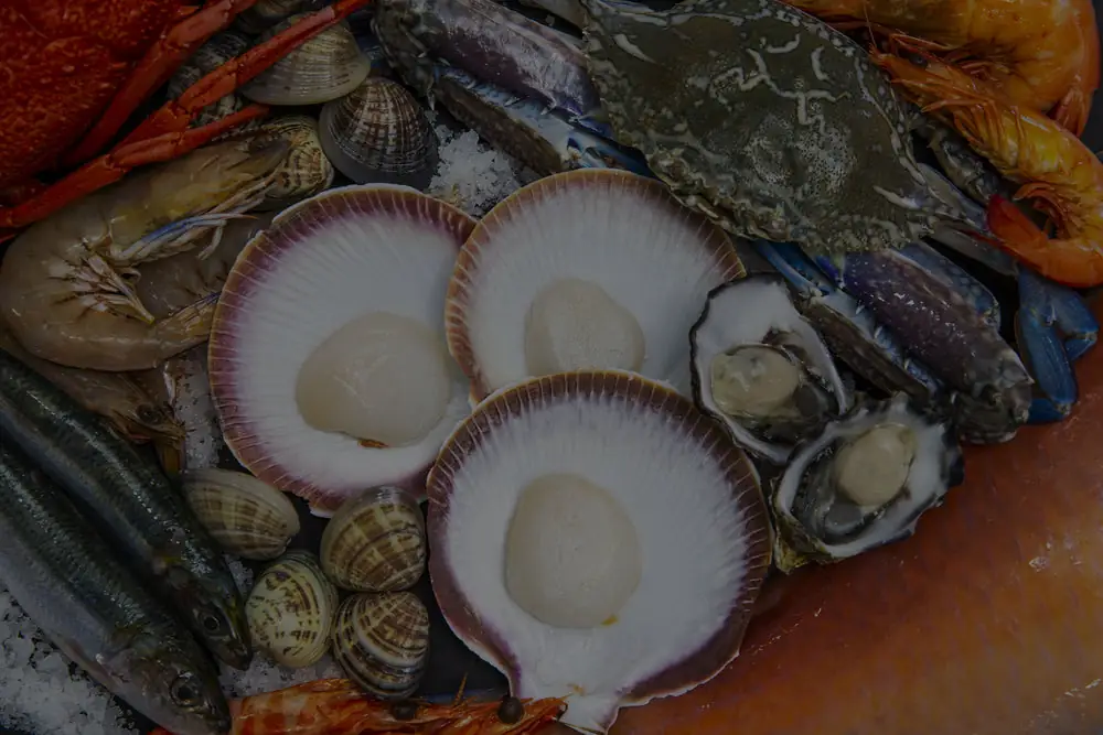 Kailis Bros – Leederville WA (photo 5)