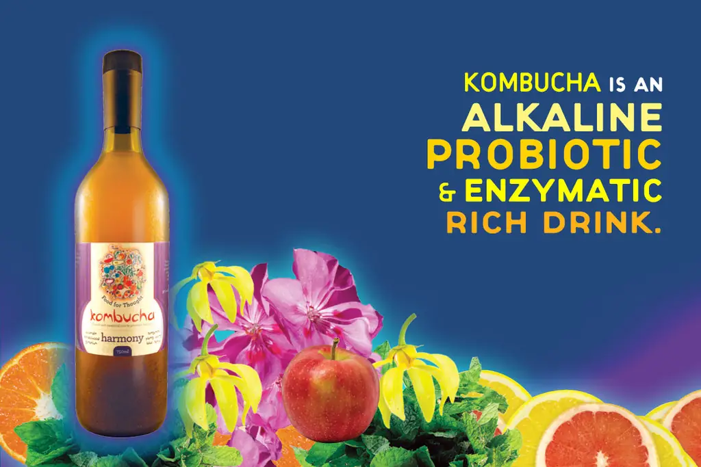 Kombucha Cafe – 1/115 Murwillumbah Street, Murwillumbah