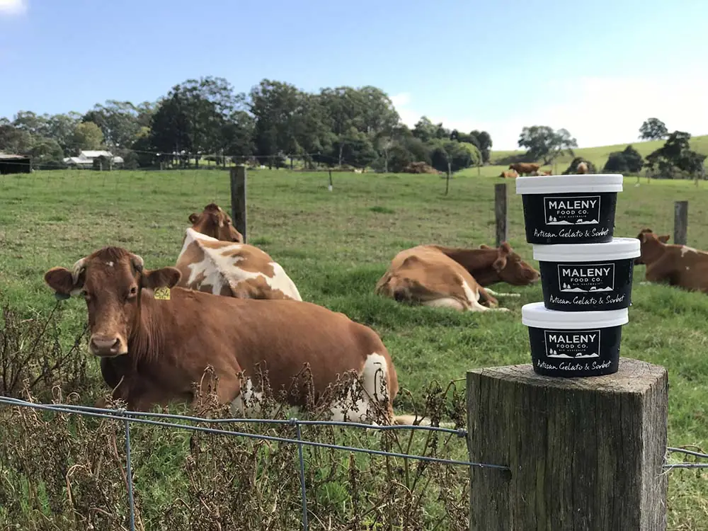 Maleny Food Co – Maleny QLD (photo 2)