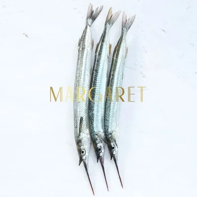 Margaret logo