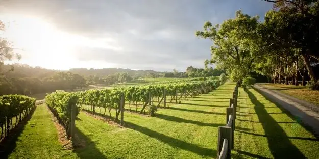 Merricks General Wine Store – Merricks VIC (photo 2)