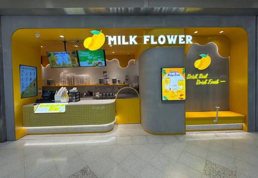 Milk Flower – Ashfield NSW (photo 2)
