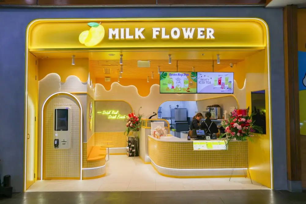 Milk Flower – Ashfield NSW (photo 3)