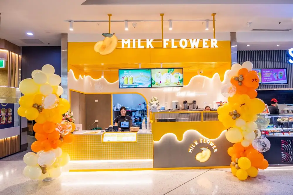 Milk Flower – Ashfield NSW (photo 4)