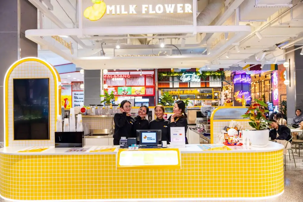 Milk Flower – Ashfield NSW (photo 5)
