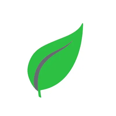 Vietnamese Mint logo