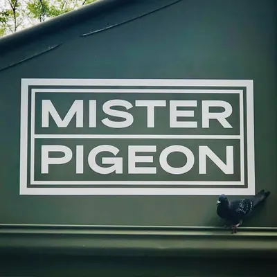 Mister Pigeon logo