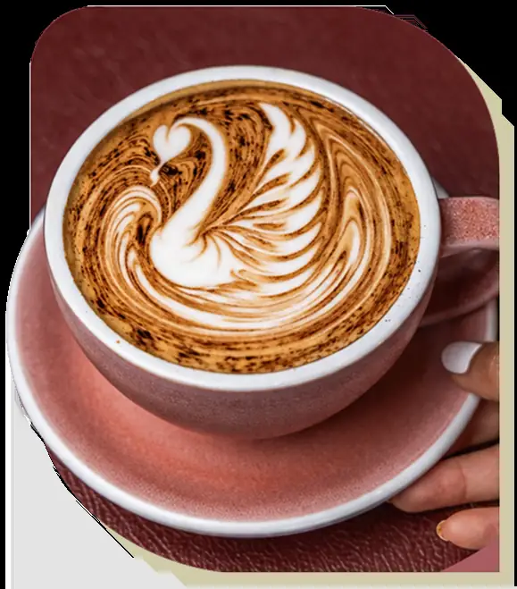 Plume – Kensington NSW (photo 2)