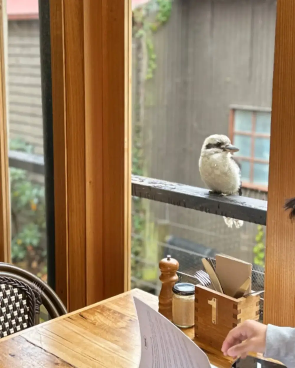 Ripe Cafe – Sassafras VIC (photo 3)