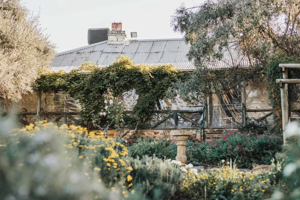 Skillogalee Restaurant – Sevenhill SA (photo 4)