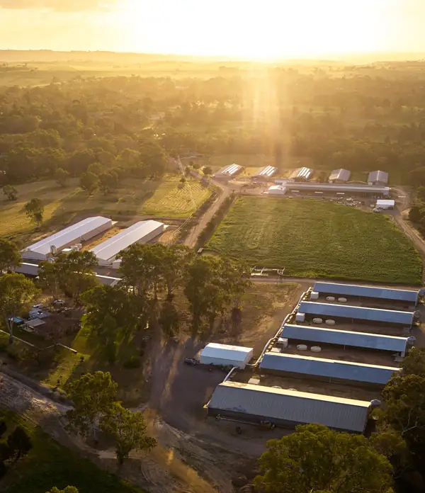 Solar Eggs – North Plympton SA (photo 4)