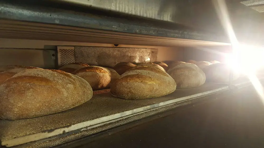 The Bakeologists – New Farm QLD (photo 2)