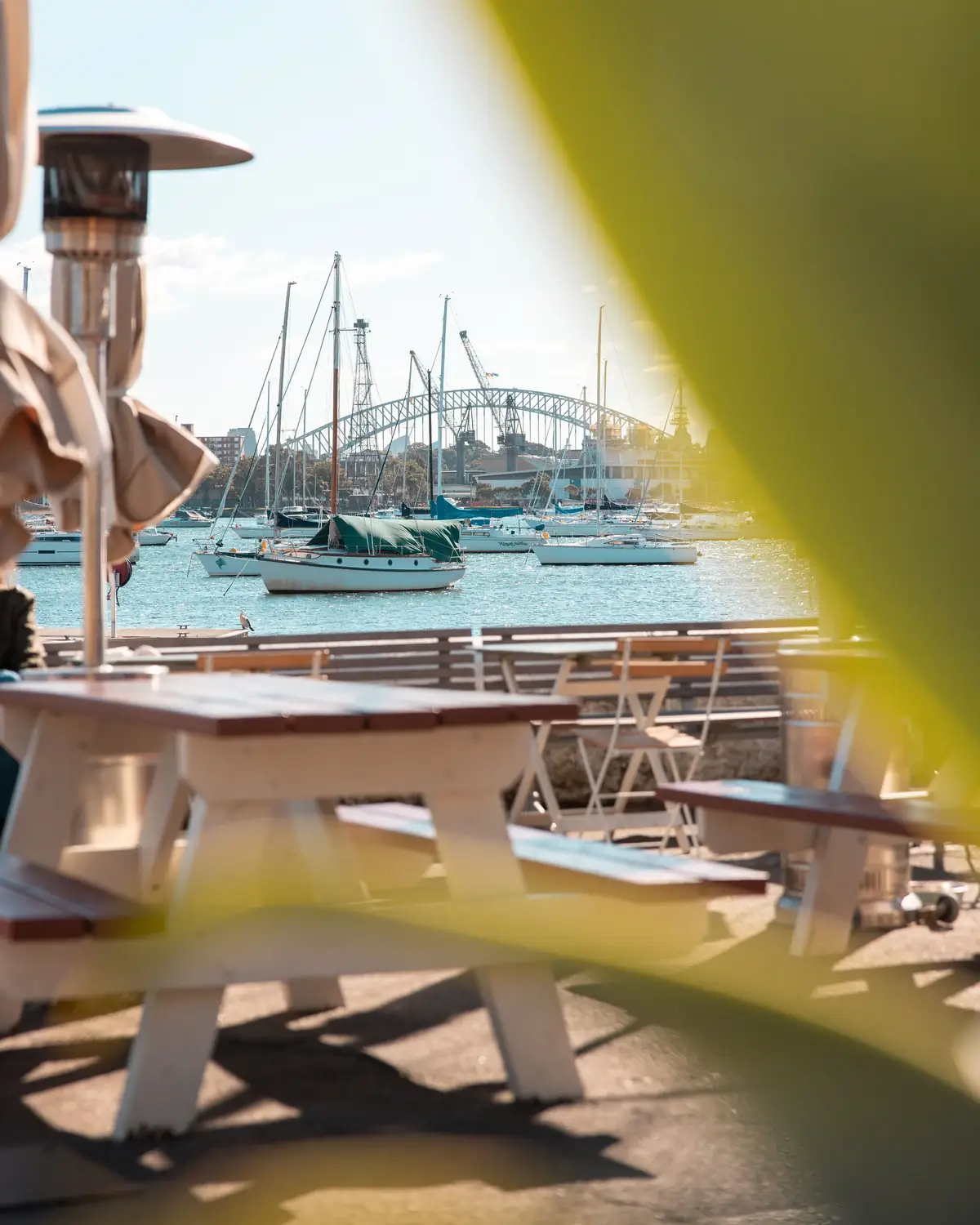 The Navy Bear – Darling Point, NSW