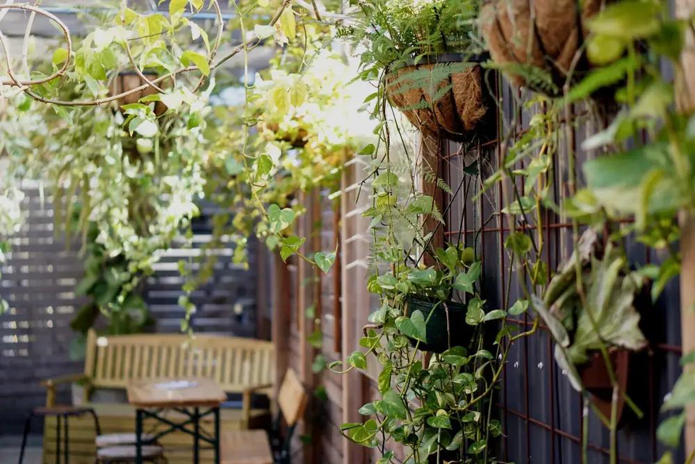 The Noble Hops – Redfern NSW (photo 5)