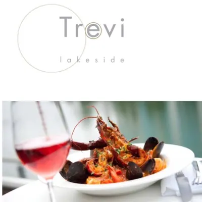 Trevi logo