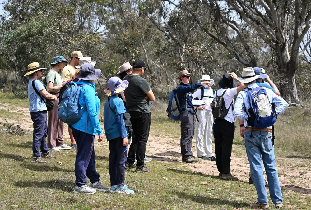 Wildbark – Throsby ACT (photo 2)