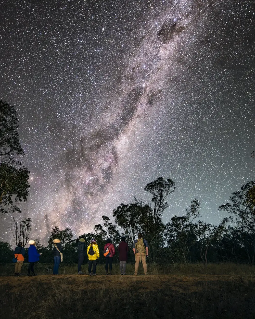 Wildbark – Throsby ACT (photo 4)